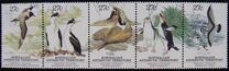 [Regional Wildlife, 類型 BC]