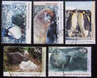 [Antarctic Wildlife, tip CL]