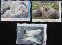 [Antarctic Wildlife, Scrivi CQ]