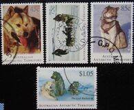 [Departure of Huskies from Antarctica, type CT]