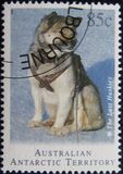 [Departure of Huskies from Antarctica, type CV]