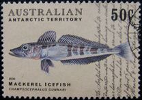 [Fish of Antarctica, type FI]