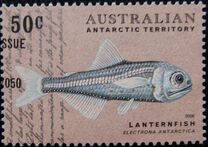 [Fish of Antarctica, type FJ]