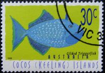 [Fish, ประเภท ML]