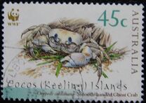 [Endangered Species - Crabs of Cocos Islands, ประเภท OM]
