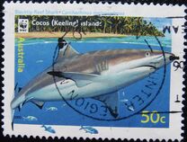 [Cocos Island Reef Sharks, 类型 PD]