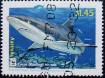 [Cocos Island Reef Sharks, 类型 PG]