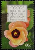 [Flowers of Cocos Islands, tip QP]