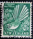 [Second Pictorials, Tip BP]