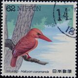 [Water Birds - White-faced shearwater & Ruddy kingfisher, 유형 CJT]