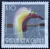[Birds of Paradise, tip WJ]