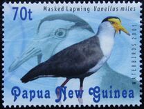 [Water Birds, type AEY]