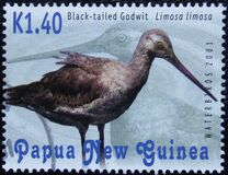 [Water Birds, type AFA]