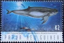 [Protected Species - Dolphins, Typ AJI]