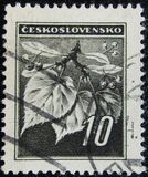 [Lime Twig, típus YEI]