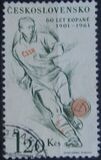 [Sports Events of 1961, Tip ZT]