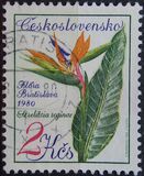 [Olomuc and Bratislava Flower Shows, type BYT]