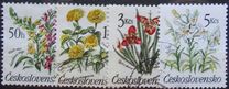 [Flowers, Tip CQN]