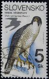 [Nature Conservation - Birds of Prey, प्रकार DI]