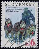 [The European Sled Dog Race Championship, Donovaly, type LW]