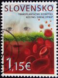 [The 20th Anniversary of the Bone Marrow Transplant Unit of the University Children’s Hospital and Clinic - Bratislava, ประเภท YL]