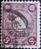[Chrysanthemum, type AJ3]