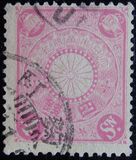 [Chrysanthemum, type AJ4]