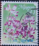 [Flowers, type HTG]