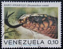 [Snakes, 类型 BTX]