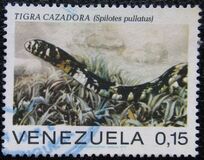 [Snakes, 类型 BTY]