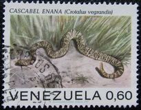 [Snakes, 类型 BUB]