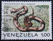 [Snakes, 类型 BUC]