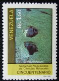 [50º anniversario della Società Venezuelana di Scienze Naturali, Scrivi CEK]