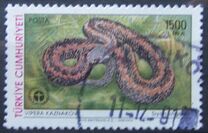 [World Environment Day - Snakes, тып CIH]