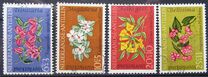 [Child Care - Flowers, тип CS]