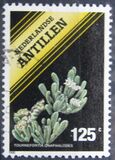 [Flowering Plants, Typ XE]