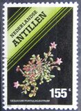[Flowering Plants, Typ XF]