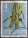 [Local Produce, type SX]