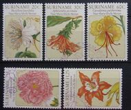 [Flower Drawings by Maria Sibylle Merian, type AOG]
