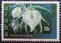 [Orchids, ประเภท KT]