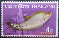 [Thai Fish, type LD]