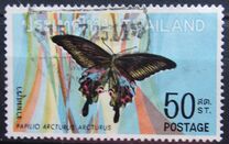 [Thai Butterflies, tip LE]