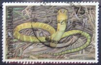 [Snakes, type ACD]