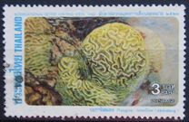 [International Correspondence Week - Corals, type AEQ]