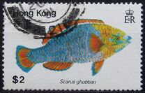 [Fish, 类型 GQ]