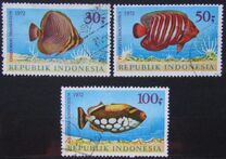 [Fish, type ABE]