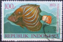[Fish, type ACF]