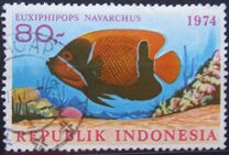 [Fish, type ADZ]