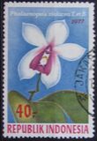 [Orchids, тип AHK]