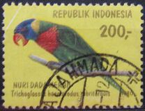 [Parrots, type ALM]